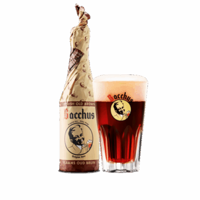 BACCHUS VIEILLE BRUNE FLAMANDE (20x0.37L) 4.5° VE